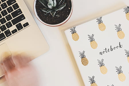 person using MacBook thumbnail