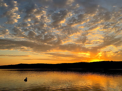 dawn, nature, sky, sunset thumbnail