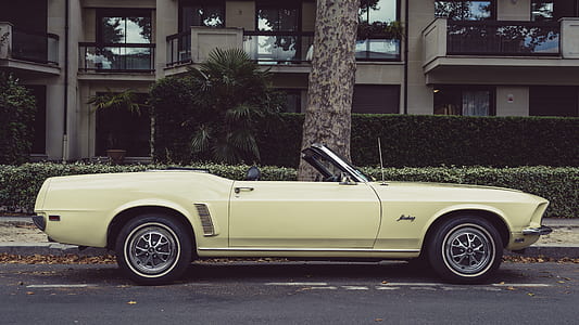 white convertible coupe beside tree thumbnail