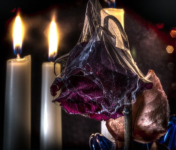 three gray taper candles thumbnail