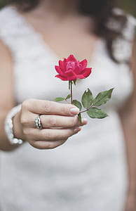 selective focus photo of woman holding red rose thumbnail