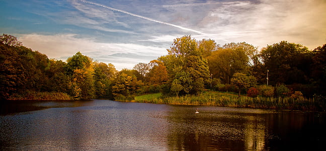 landscape of river surrounded by trees thumbnail