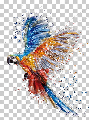 Watercolor painting Drawing Illustration, Hand colored parrot birds splash, macaw painting PNG clipart