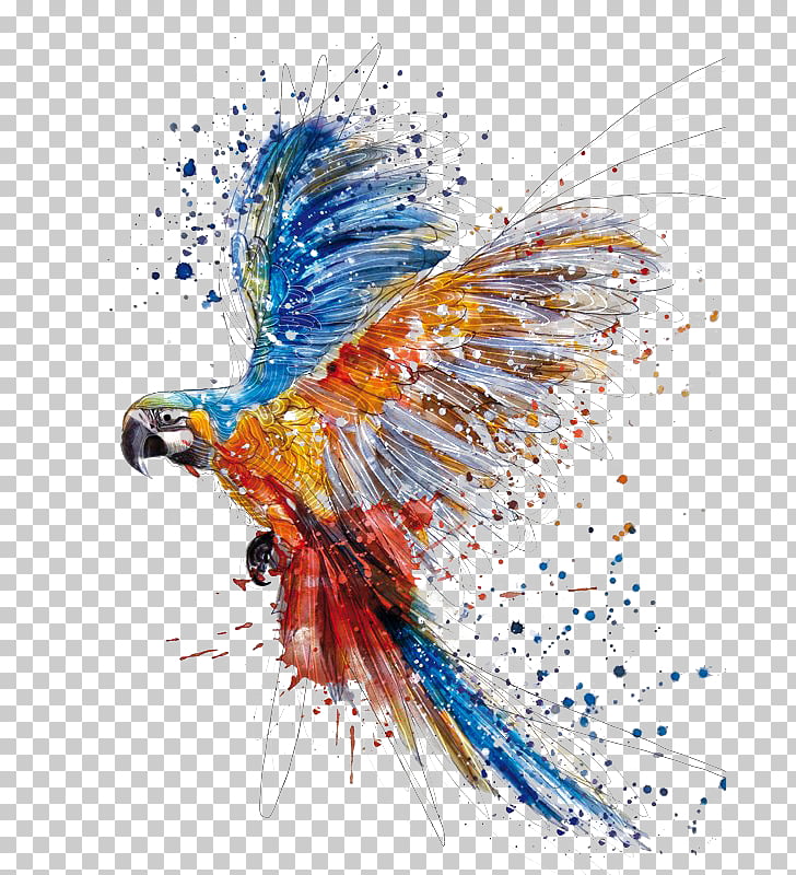 Watercolor painting Drawing Illustration, Hand colored parrot birds splash, macaw painting PNG clipart