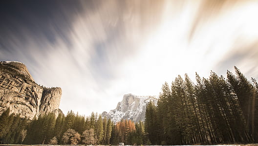 worm's eyeview photo of pine trees and rock formation thumbnail