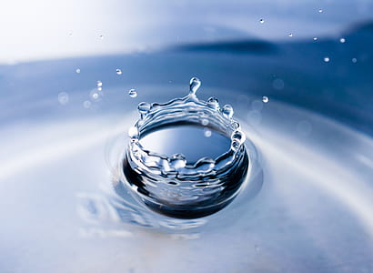 selective focus photo of a drop of water thumbnail