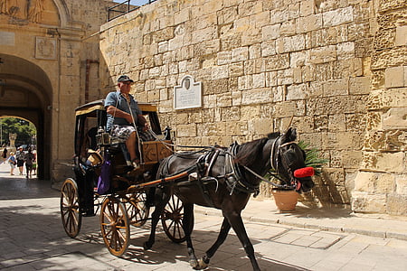 man riding carriage near brown building during daytime thumbnail