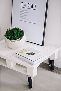 Green plant with magazines thumbnail