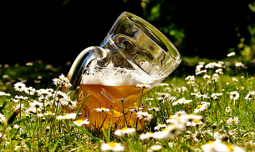mug of beer on field of white aster flowers thumbnail