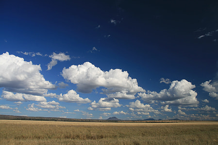 brown grass field under white and blue cloudy sky thumbnail