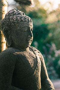selective focus photo of gray concrete Buddha thumbnail