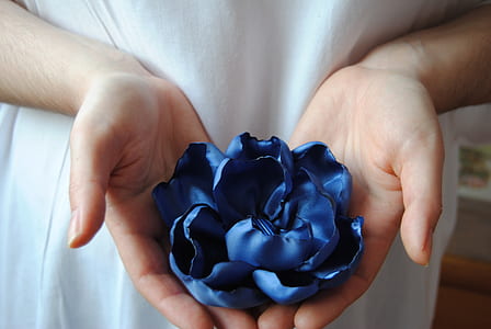 person holding blue flower decor thumbnail