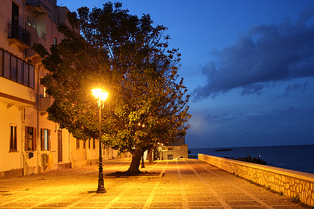 street lamp near tree at night time thumbnail