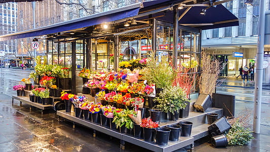 flower shop near street during daytime thumbnail