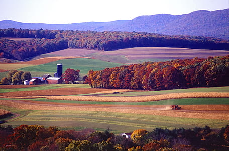 brown house near farm thumbnail
