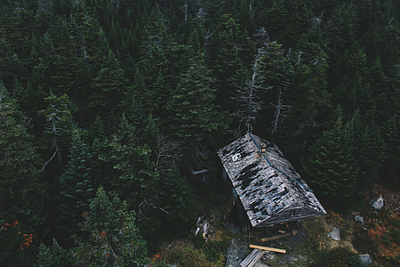 aerial photography of gray house beside green trees at daytime thumbnail