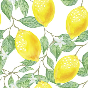 illustration of lemon fruits thumbnail