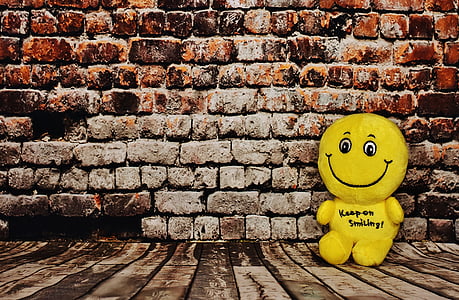 yellow plush toy leaning against wall thumbnail
