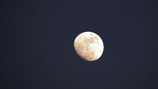 view of full moon thumbnail