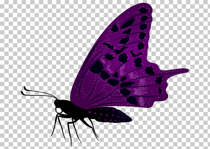 Abstract Butterflies Desktop Wallpapers Top Free Abstract Butterflies Desktop Backgrounds Wallpaperaccess