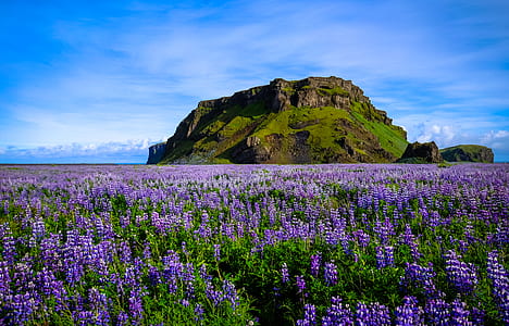 landscape, nature, sky, clouds thumbnail