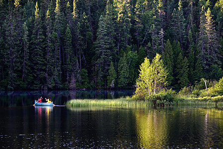 people riding on blue canoe near green trees thumbnail