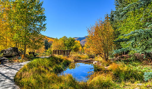 river stream surrounded by woodlands thumbnail