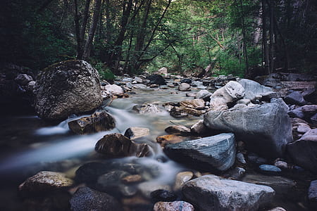 stream with stones in middle of forest thumbnail