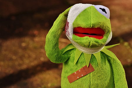 injured Kermit the Frog thumbnail
