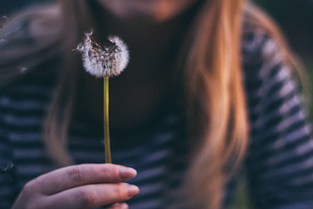 woman holding dandelion flower thumbnail