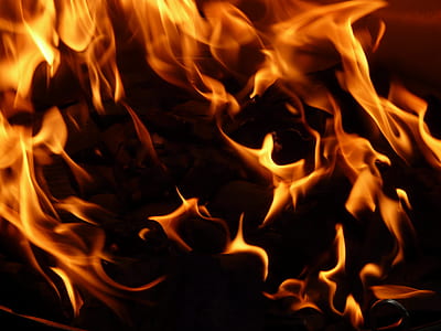fire on wood thumbnail
