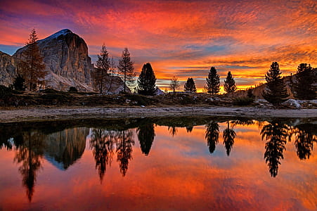 trees near the lake during sunset thumbnail