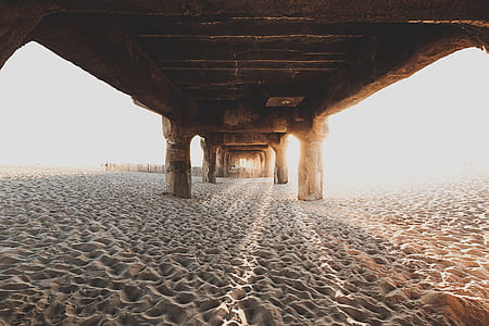 brown sea dock thumbnail