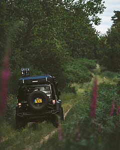 black wrangler near green leafed tree thumbnail