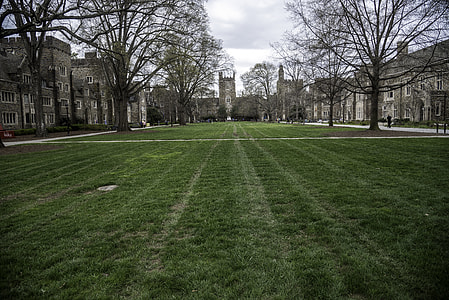 Lawn and Grass of the Duke Quad with the Chapel in the distance in Durham, North Carolina thumbnail