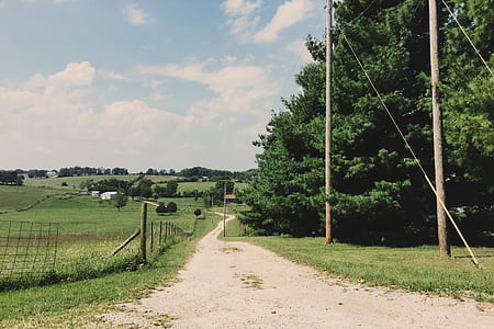 road, field, trees, countryside thumbnail