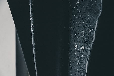 macro photography of water dew thumbnail