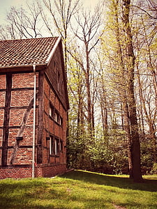 brown and white house near the tree painting thumbnail
