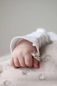 baby holding chamomile flower thumbnail