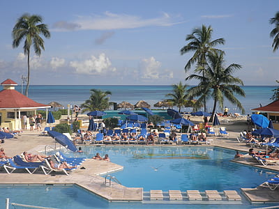 people lying on lounge beside swimming pool thumbnail