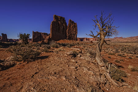 brown rock mountain during daytime thumbnail