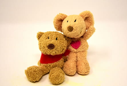 two brown bear plush toys thumbnail