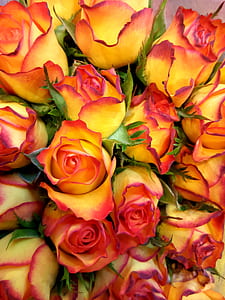 yellow-and-red rose flowers bouquet thumbnail