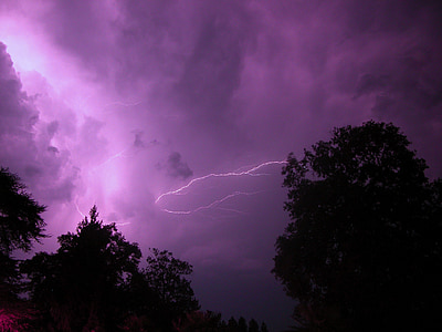 trees and lightning thumbnail