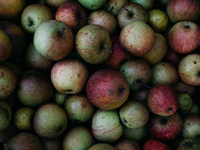 red and green apple lot thumbnail