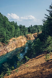 trees and river during day thumbnail