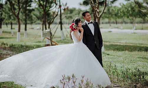 Newly Wed Couple Surrounded by Trees thumbnail