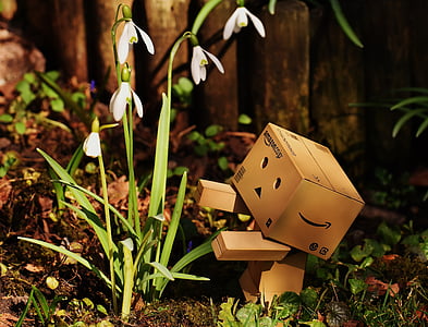white snowdrop flowers beside brown Amazon cardboard robot thumbnail