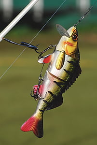 closeup photo of green and yellow fishing lure thumbnail