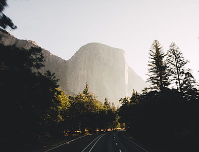 road surrounded by trees and mountain thumbnail